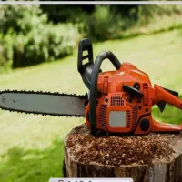 «خریداری و قطع درختان سخت و نرم به قیمت( رقابتی)