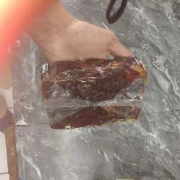 خرما|عمدهفروشی|تهران, طیب|دیوار