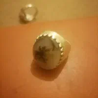 شجر|جواهرات|کرمانشاه, |دیوار