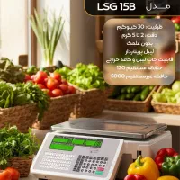 نمایندگی پخش ترازو توزین صدر (هدایتی)|فروشگاه و مغازه|اهواز, باغ شیخ|دیوار