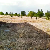 مجموعه