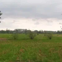 اجاره سوئیت|اجارهٔ کوتاهمدت آپارتمان و سوئیت|آستانه اشرفیه, |دیوار