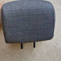 پشت گردنی