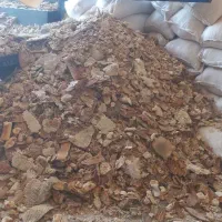 نان خشک تمیز خ ی