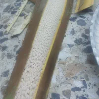 گردنخل خرما