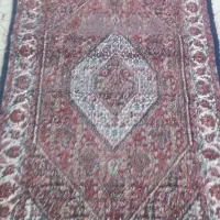 فرش زرنیم|فرش|زنجان, |دیوار