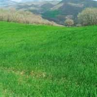 زمین کشاورزی