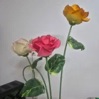 چراغ خواب|ریسه و چراغ تزئینی|اراک, |دیوار