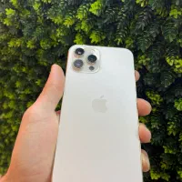 ۱۲پرومگس ۲۵۶