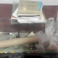 آکواریم|لوازم جانبی حیوانات|نرماشیر, |دیوار