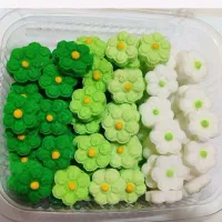 تخفیفات. حراج|حراج|تربت‌حیدریه, قائم|دیوار