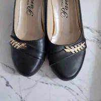 کفش زنانه|کیف، کفش، کمربند|فردوس (خراسان), |دیوار