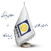 فرصت ویژه ، اعطای نمایندگی بیمه