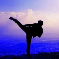 باشگاه ووشو (رزمی)|خدمات آموزشی|جم, |دیوار