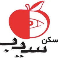 مشاور مبتدی و حرفه ای و مدیر و سرپرست