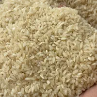 برنج کامفیروزی