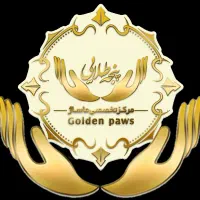 مشارکت خانم در اموزشگاه فنی و حرفه ای