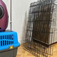 باکس