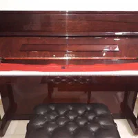 پیانو پتروف اروپایی|پیانو، کیبورد، آکاردئون|تهران, آبشار|دیوار