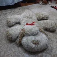 عروسک سگ ۱ متری|اسباب‌بازی بچه|شیراز, بریجستون|دیوار