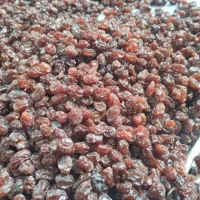 کشمش پلویی آفتاب خشک شده تبریز|خوردنی و آشامیدنی|ساری, |دیوار