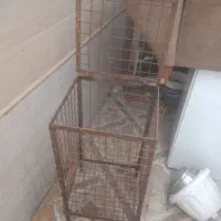 سطل زباله|لوازم نظافت|لاهیجان, کوی خزر|دیوار