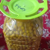 زیتون شمال|خوردنی و آشامیدنی|یزد, |دیوار