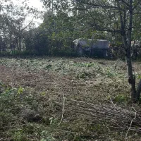 زمین کامل مسکونی گلرودبار