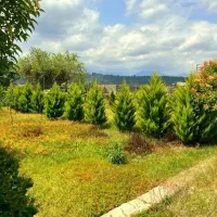 دهکده-توریستی-شهرکی-سندتک-برگ-ش-مال