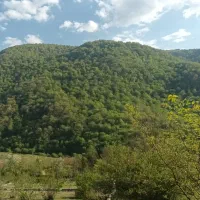 ۸۰۰ مترمربع زمین چالسیو لزیر رویان|فروش زمین و ملک کلنگی|رویان, |دیوار