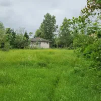 زمین-مسکونی-شاندرمن-روستای-چماچار-بر-اصلی