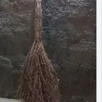 جارو مکه ای