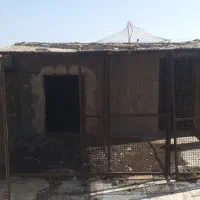 فروشی|لوازم جانبی حیوانات|سوسنگرد, |دیوار