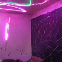 اجاره-سوییت