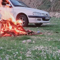 پارس خشک فروش فوری