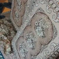 پشتی سالم دوعدد با مشتری راه میام