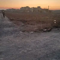 زمین زراعی مرکز شهر|فروش زمین و ملک کلنگی|محمدشهر, یزدیها|دیوار