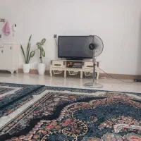 خیلی تمیر  سالم هست