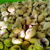 انجیر خشک درجه یک