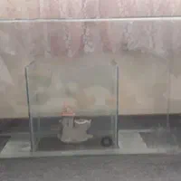 ۲عددآکواریوم‌ماهی‌|ماهی|بومهن, |دیوار
