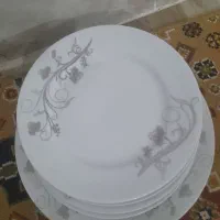 ظرفیت شیرین خوری