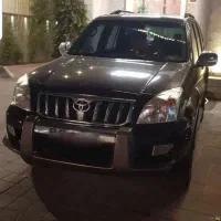 پرادو‌ عروسک به قیمت