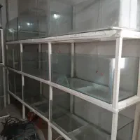 پایه آکواریم واکواریم