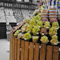 کارگر ساده ، کارگر میوه فروشی ماهر و ساده|استخدام خدمات فروشگاه و رستوران|تهران, تهرانسر مرکزی|دیوار