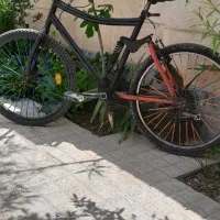 دوچرخه دنده ای ۲۴