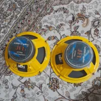 یک جفت باند