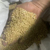 بذر فروشی دره شهر|گل و گیاه طبیعی|دره شهر, |دیوار