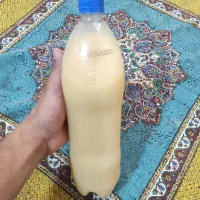 روغن شترمرغ شتر مرغ اصل ماساژ درمانی