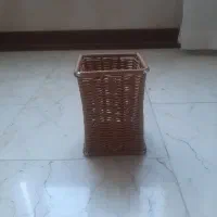 جاقاشقی ایستاده تک قلو