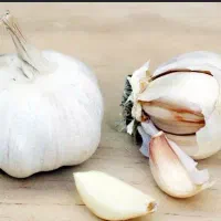 سیر همدان ۲۵۰